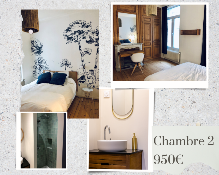 Chambre 2 Coliving Lille