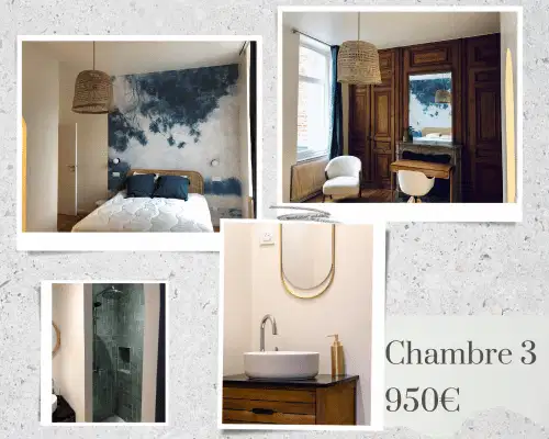 Chambre_3_La_Villa_Boileux Photos Chambre 3- La Villa Boileux - Lille